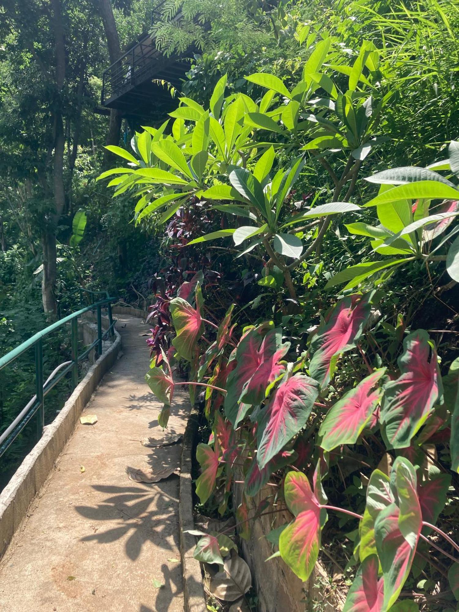 매림 매사 그리너리 힐  B&B 외부 사진